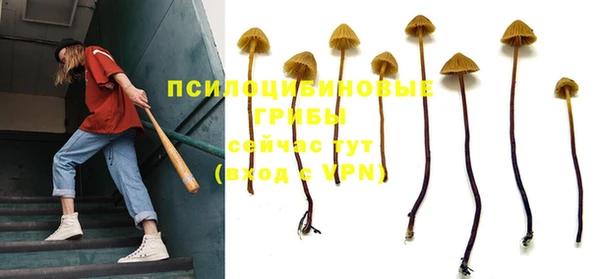 гашик Покровск