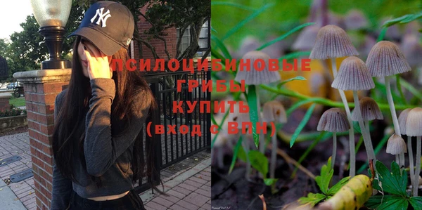 СК Покачи