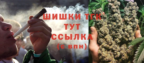 гашик Покровск