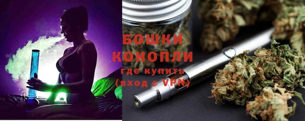 гашик Покровск