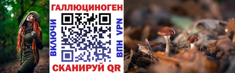 Галлюциногенные грибы прущие грибы  купить закладку  Руза 